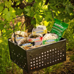 Campisi Products_Vines4